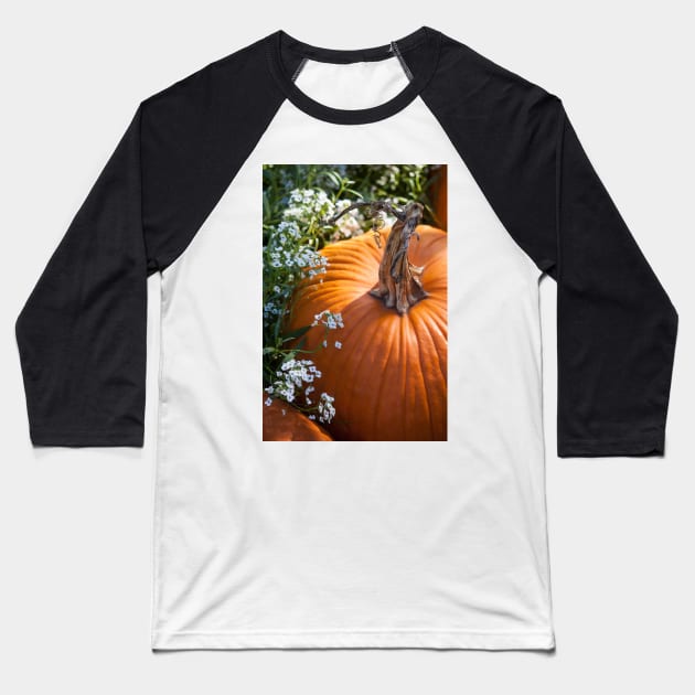 Autumn Flowers Baseball T-Shirt by Jacquelie